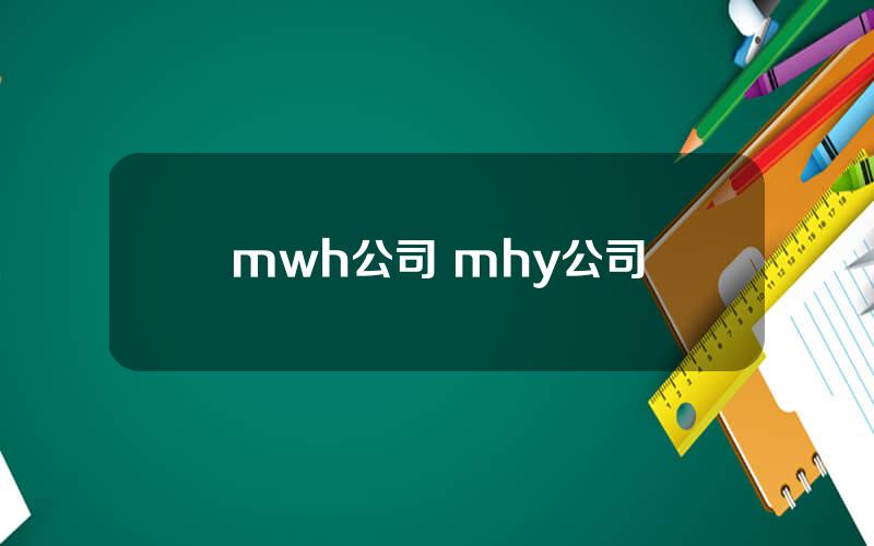 mwh公司 mhy公司